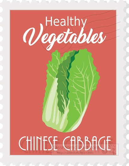 healthy vegetables the chinese cabbage stamp style