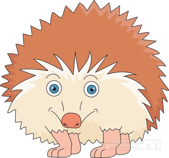 hedgehog front view clipart