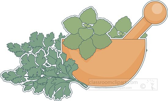 herbs with mortor pestle clipart