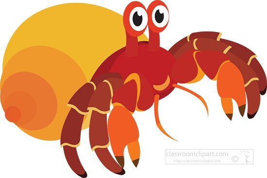hermit crab in shell marine animal clipart 818