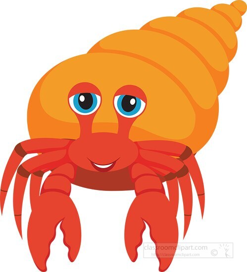 hermit crab sea animal clipart