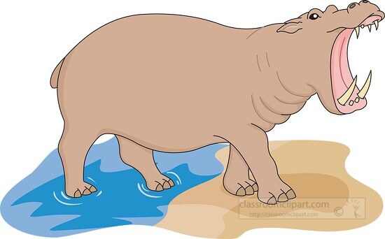 hippopotamtus open mouth large teeth vector clipart