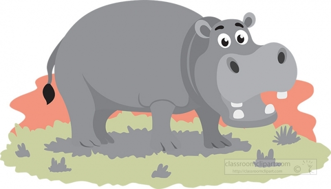 hippopotamus near african lake gray color
