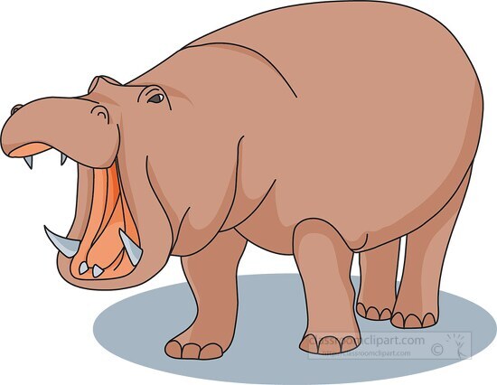 hippopotamus shows teeth while mouth is open clipart