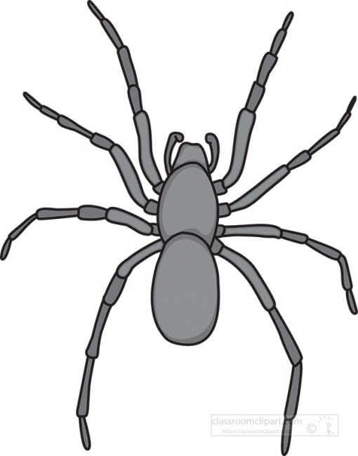 house spider grayscale clipart
