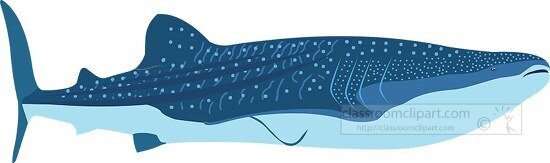 huge whale shark marine animal clipart