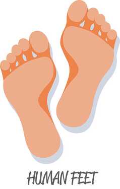 human feet clipart