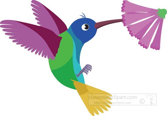 hummingbird bird clipart