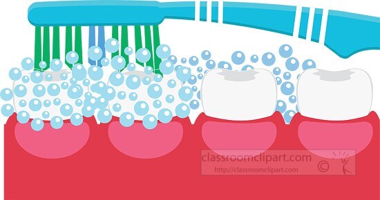 illustration of tooth brush brushing teeth insight mouth clipart