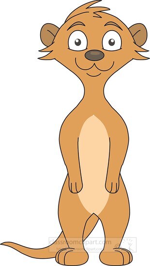 inquisitive looking meerkat clipart