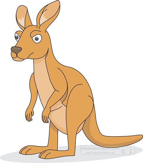 kangaroo with big ears clipart