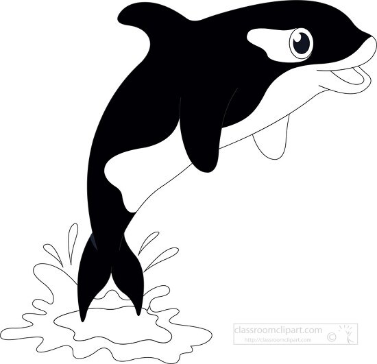 killer orca whale jumping out of the water clipart