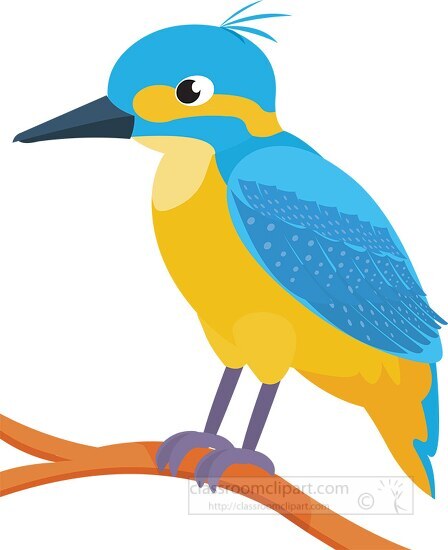 kingfisher_bird_clipart