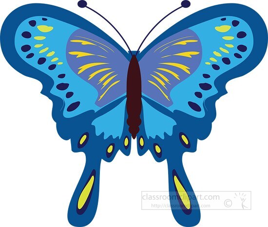 large colorful blue yellow butterfly