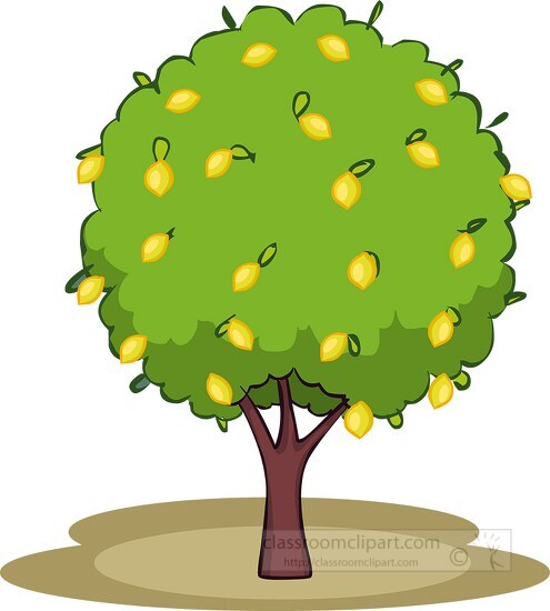 lemon tree full of lemons clipart