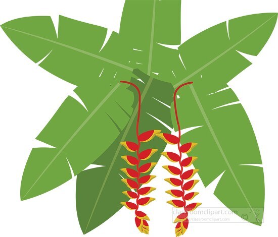 lobster claw flowers hanging from plant clipart image