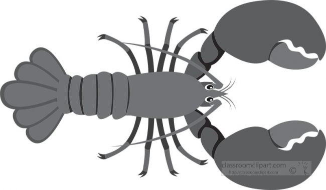 lobster marine animal gray clipart