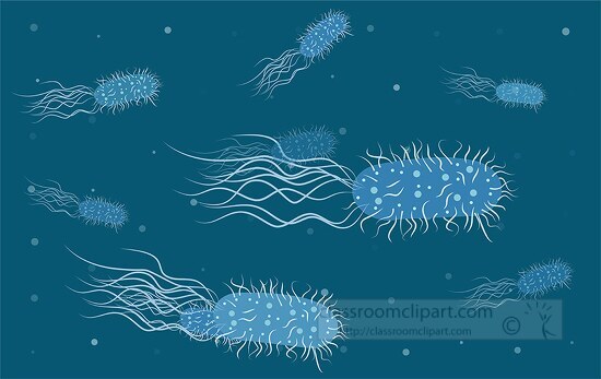 many bacteria with flagella and pili vector clipart