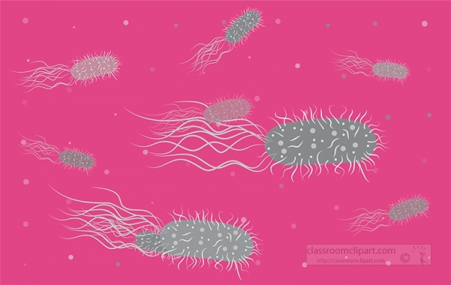 many bacteria with flagella and pili vector gray color