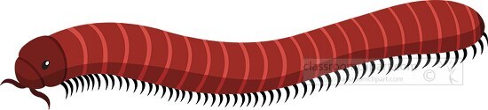 millipedes many legs clipart