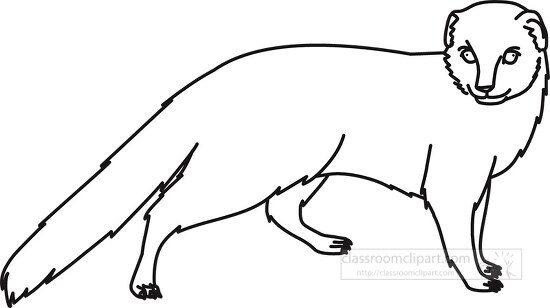 mongoose animal outline clipart