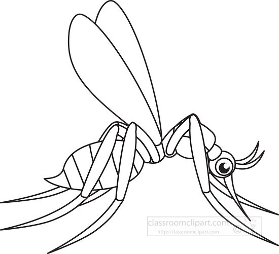 mosquito insects black white outline cliprt