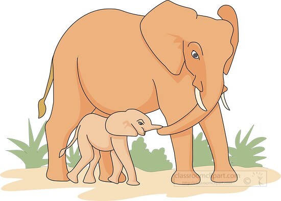 mother elephant standing near baby elephant