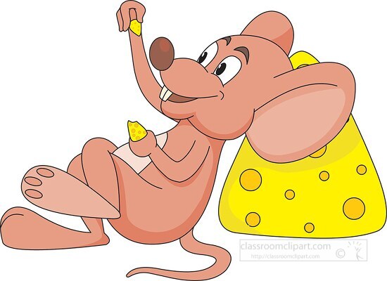mouse eating resting on cheese clipart