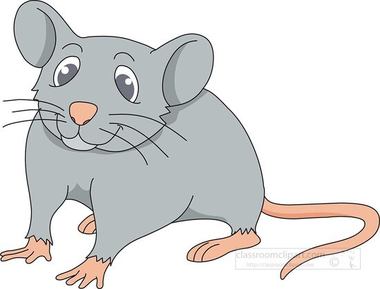 mouse with long tail clipart