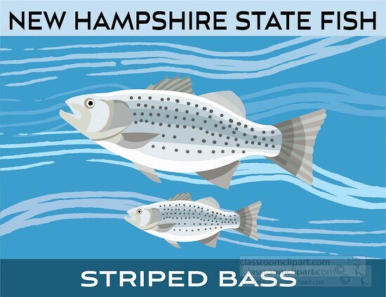 new hampshire state fish striped bass clipart image
