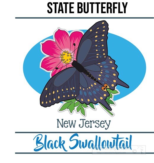 new jersey state butterfly black swallowtail vector clipart imag