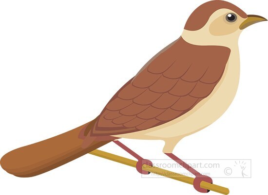 Nightingale Bird Clipart