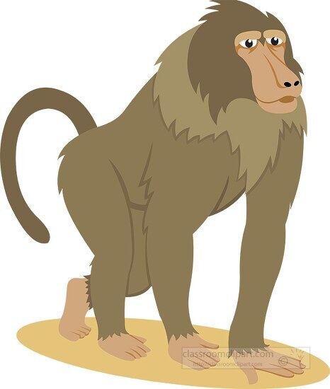 olive color baboon clipart