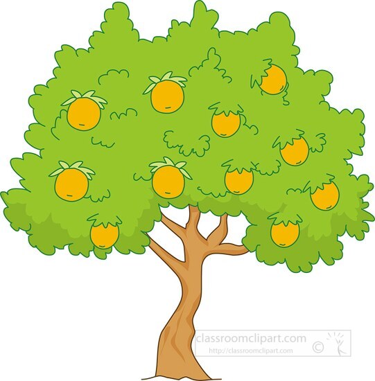 orange tree clipart