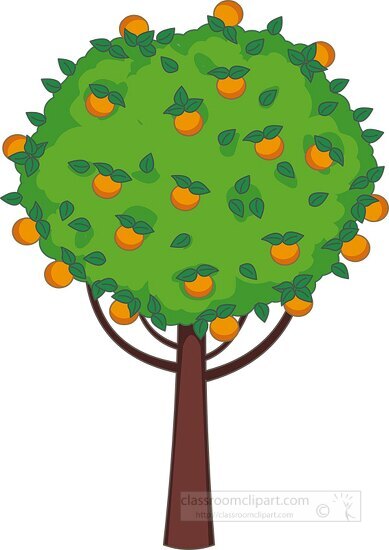 orange tree with full of fruits clipart