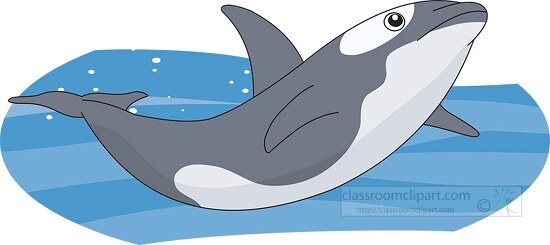 orca killer whale clipart