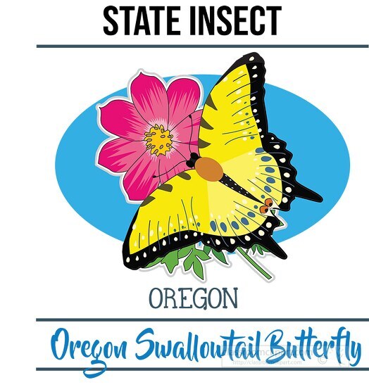 oregon state insect oregon swallowtail butterfly vector clipart 