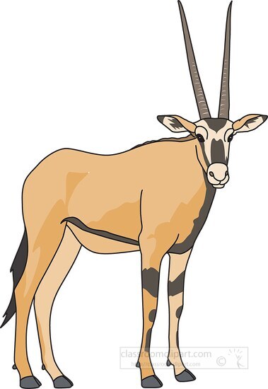 oryx large antelope clipart