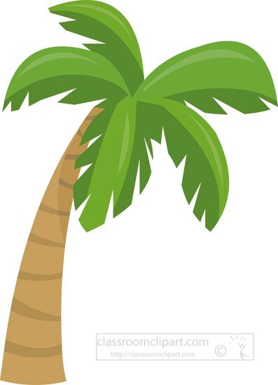 palm tree flat design clipart