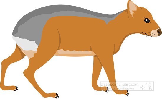 patagonian cavy clipart