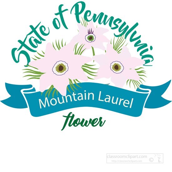 pennsylvania state flower the mountain laurel clipart image