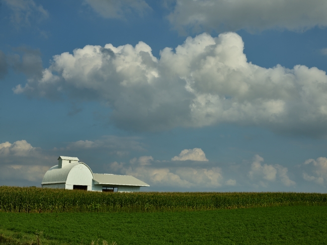 Amish farm outside Kalona in the state of Iowa
