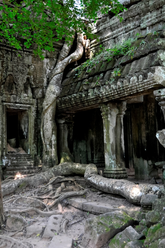 Angor Wat Cambodia