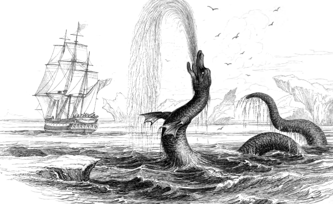 Animal Illustration Sea Serpent