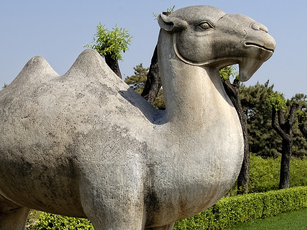 Animal statue on the Spirit Way Ming Tombs 6280C