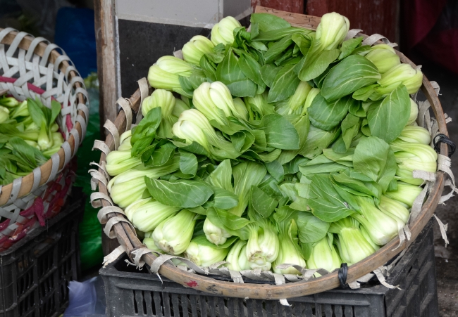 Asian Greens Bok Choy In Wicker Basket Photo Image
