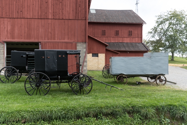 Barns and horse-drawn buggies and farm wagons at Yoders Amish Ho