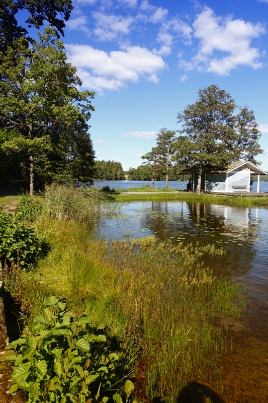 beautiful-lake-scene-Sweden-