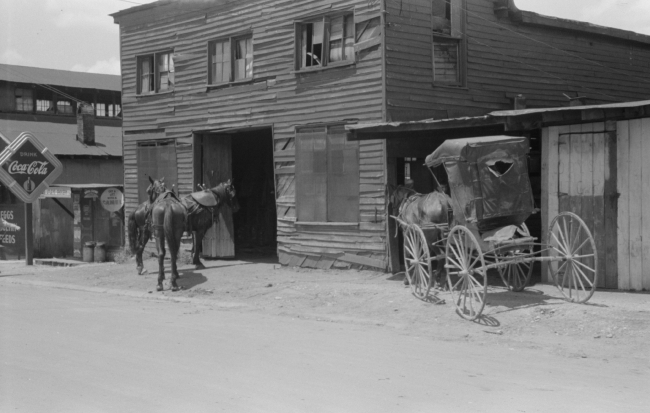 blacksmith shoeing team of farmhorses