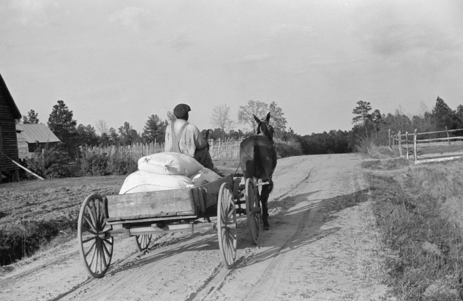 Bringing home meal from cooperative grist mill Gees Bend Alabama